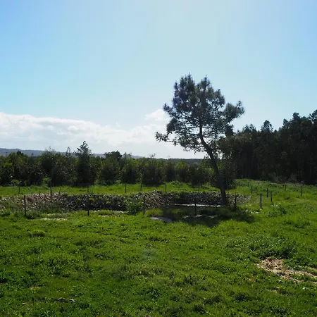 Au Bain Marie Vakantiehuis São Martinho do Porto