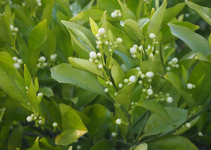 Au Bain Marie Сasa de vacaciones *