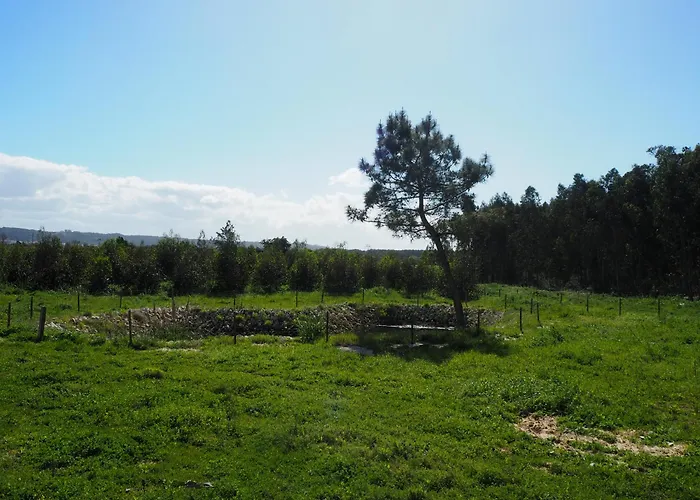 Au Bain Marie Сasa de vacaciones São Martinho do Porto
