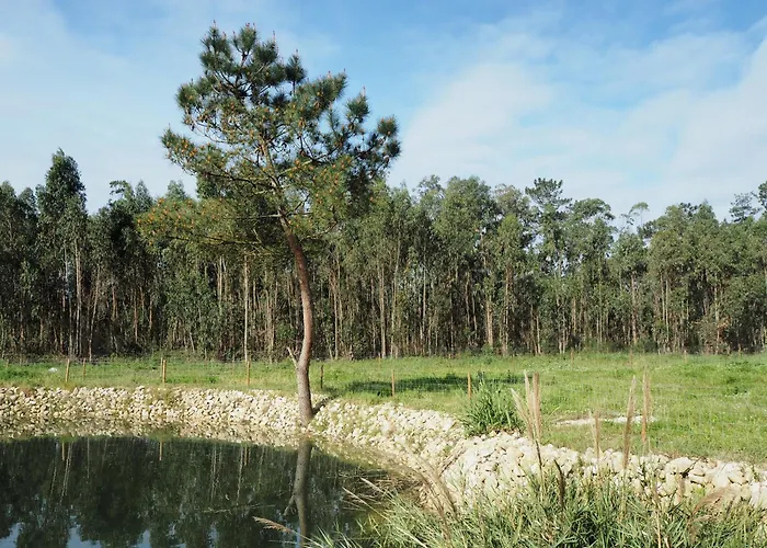 Au Bain Marie * São Martinho do Porto